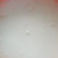 ۴ نفر کارگر ساده
