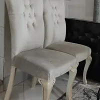 دو عدد میزبان