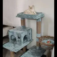 اسکرچر گربه، تونل گربه، جای خواب گربه