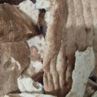 نان خشک تمیزفروشی
