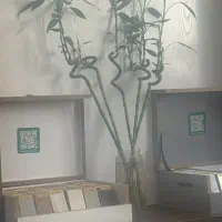 کارگرساده