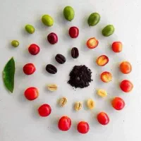باریستا حرفه ای خانوم وآقا