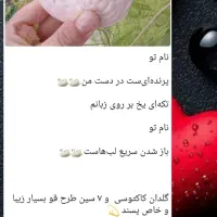 اکسسوری جات