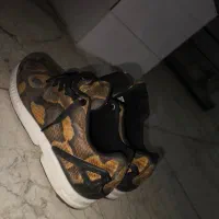 مقطوع|کیف، کفش، کمربند|رباط‌کریم, رباط‌کریم|دیوار