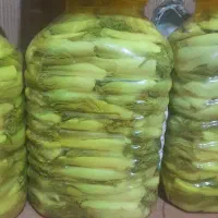ترشی بیلهر