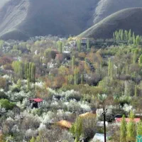 تعمیرات‌نصابی نصب‌پرده‌وخرده کاری جوشکاری،گلدان