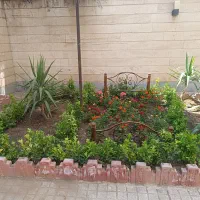 خدمات باغبانی در تمام نقاط شهریار