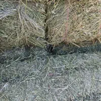فروش پرس یونجه