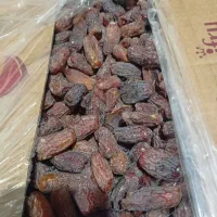 فروش خرما پیارم