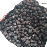 البالوخشک