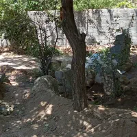 زمین سند دار در شهر نیر