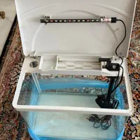 اکواریوم ماهیران