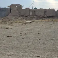 6250 زمین مسکونی و کشاورزی وصل به هم