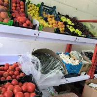 شاگرد میوه فروشی باسواد