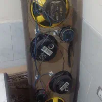 ظبط وباند