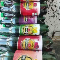 پخش دلستر تکی و عمده