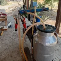 فروش شیر دو واحده