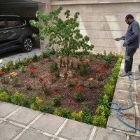 خدمات باغبانی هرسکاری سمپاشی کل کار باقیمت مناسب
