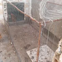 قفس تله دار