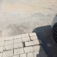 باغ-نقلی