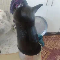 هیزه یا پوست برای نگهداری روغن