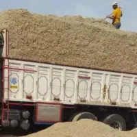 کاه کاه کاه کاه