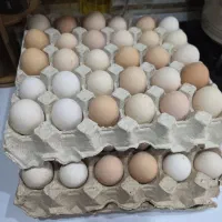 تخم مرغ)خاگ(محلی