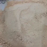 گرده نخل