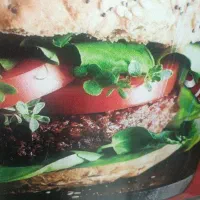 استخدام برای فست فود (ساندویچی)