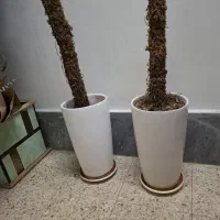 گلدون سرامیک