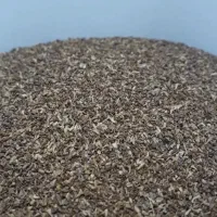 بذر اکالیپتوس چوب سفید *فقط ۳ میلیون تومان