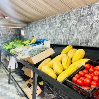 استندمیوه