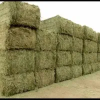 کاه. و یونجه