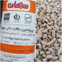 سویا سبحان