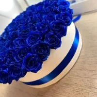 رومانی|گل مصنوعی|قم, باغ شریفی|دیوار