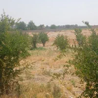 1200-متر-باغ
