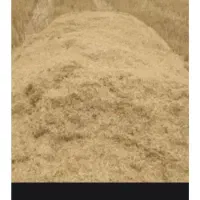کاه عدس گرگرو