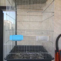 قفس ۱۰۳۳ ریز بافت در حد آکبند