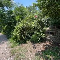 480-زمین-مسکونی-سنددار-ویشکاننک-سنگر