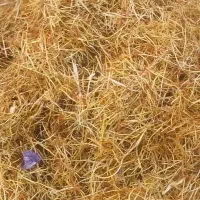 فروشگاه پناه ریشه پر سرخ زعفران مثقالی ۱۴۰ و فله