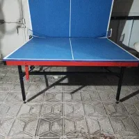 میز پینگ پنگ
