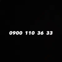 0900.110.3633
