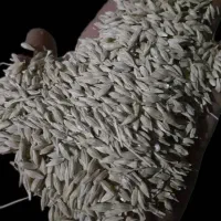 فروش جو گندم شکسته ذرت