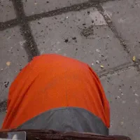 سلام.(تعدادی مدارک شناسایی پیدا شده)