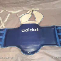 هوگو ورزش های رزمی