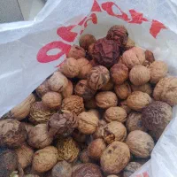 گردو یک کیلو و هفتصد گرم