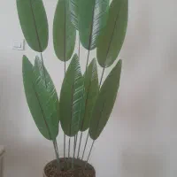 درختچه ۱۰ شاخه