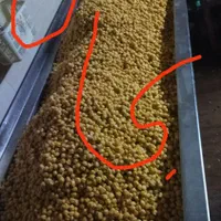 فلافل و سمبوسه ، سبحان
