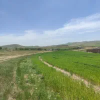 زمین خانه باغ روستای  کوچک پایین ۵۵۰میلیون