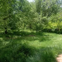باغچه 1000متری